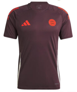 Alternative view of Bayern Munich 2024/25 Men’s Teamline Training Shirt