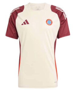 Bayern Munich Pre Match Training Top – European