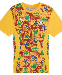 Ghana Pre Match Training Top