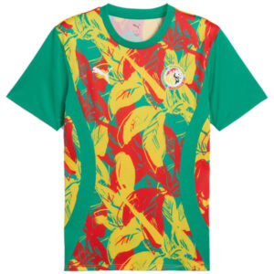 Senegal Pre Match Training Top