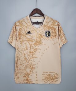 Argentina Special concept 21-22 Gold