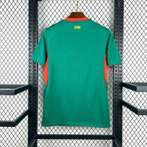 Senegal 2026 away kit world cup